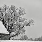 A bisserl Schnee