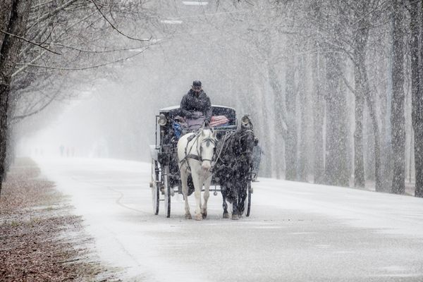 A bisserl Schnee (Ein wenig Schnee)