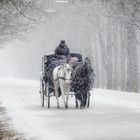 A bisserl Schnee (Ein wenig Schnee)