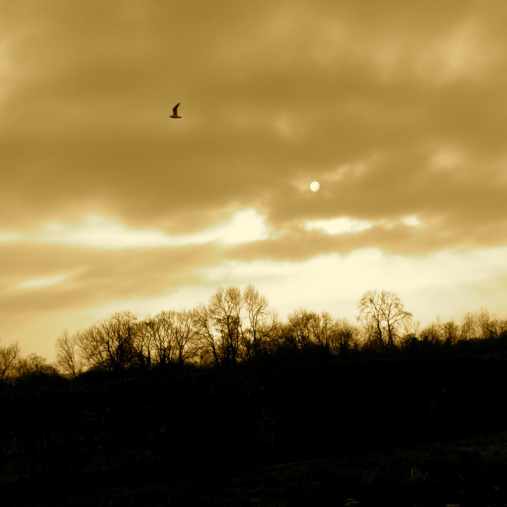A bleak sundown over the fields