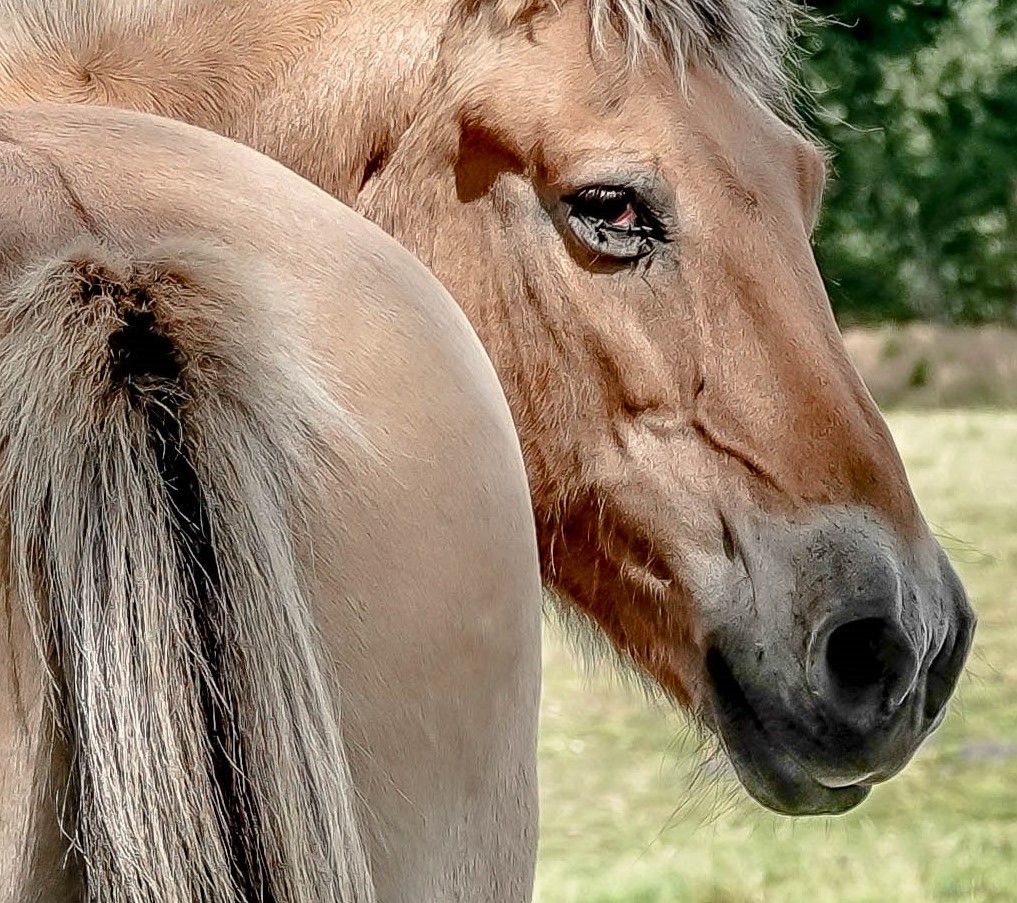 a blonde beauty