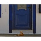 '"A blue door, two blue windows and a red cat"