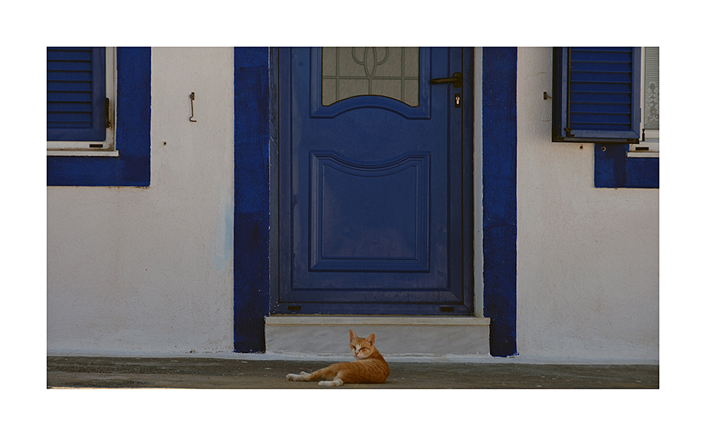 '"A blue door, two blue windows and a red cat"