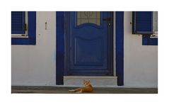 '"A blue door, two blue windows and a red cat"