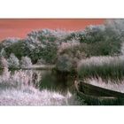 [a boat by the lake with some ducks, trees and grass]