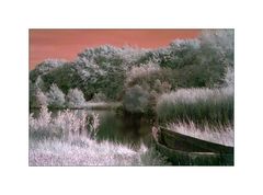 [a boat by the lake with some ducks, trees and grass]