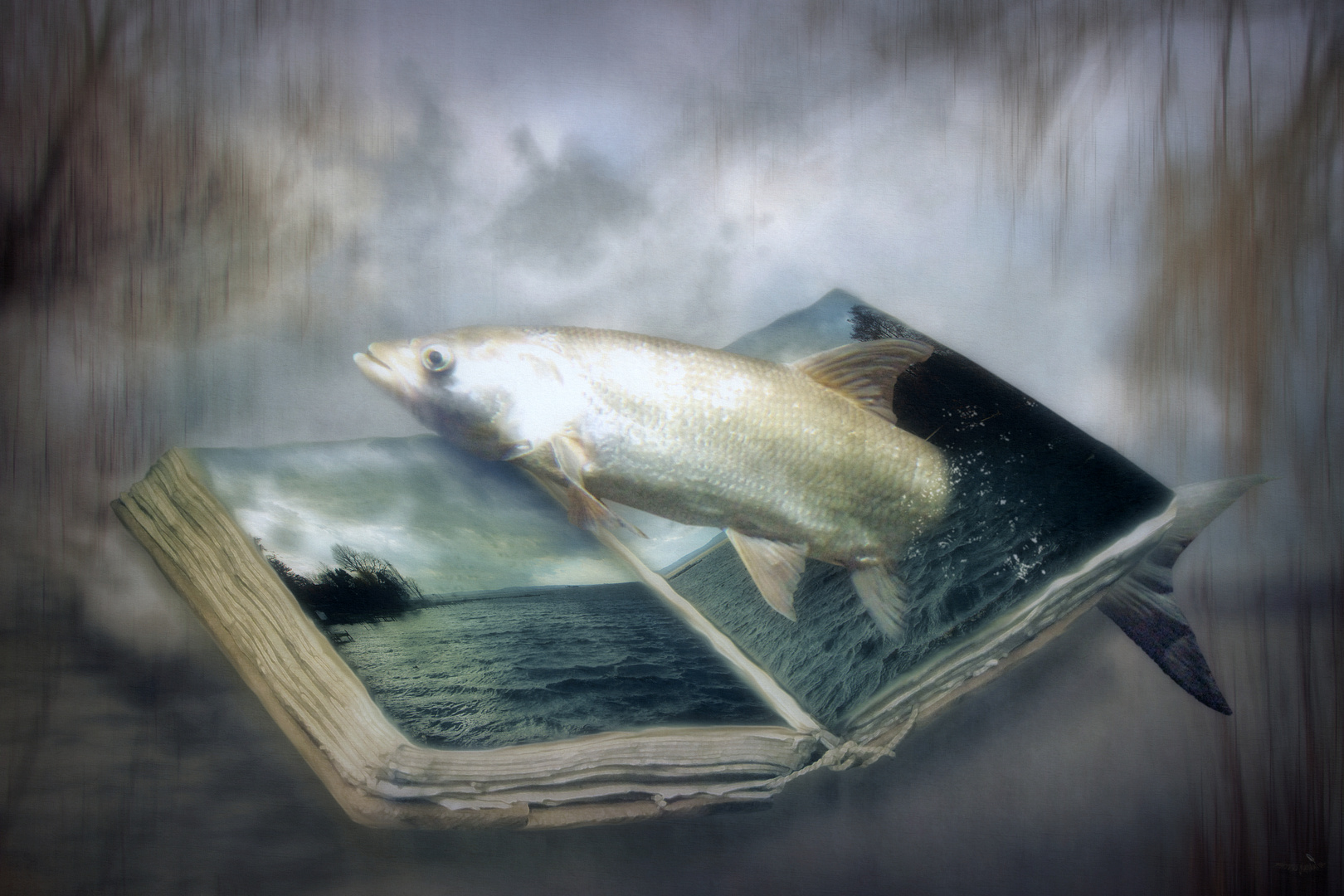 A book of water Foto & Bild fotokunst, fotomontage, surreal Bilder