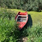 a Boot auf dem Federsee bei Bad Buchau in Oberschwaben DSC05936