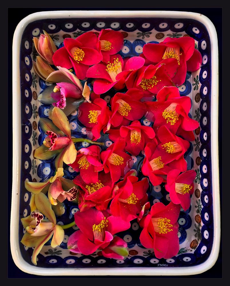 A bowl with floating flowers