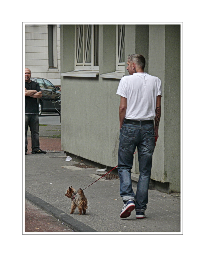 a boy and his dog