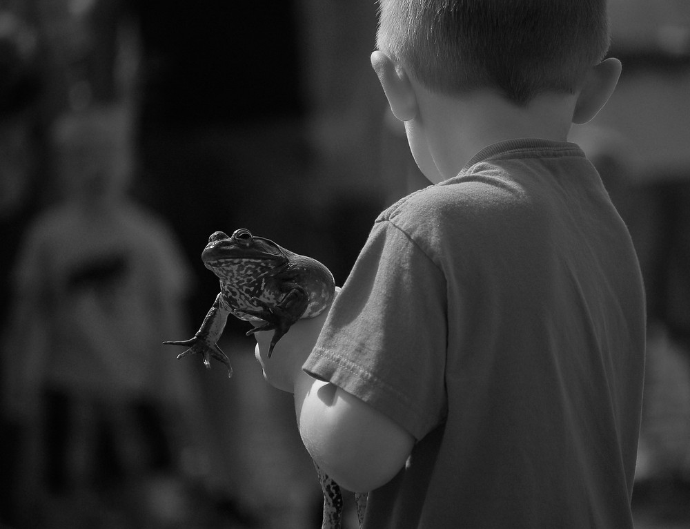 A boy and his frog 2