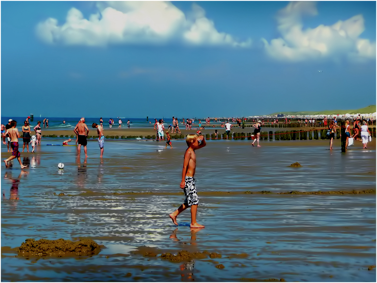 A Boy at the Beach 