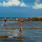 A Boy at the Beach 