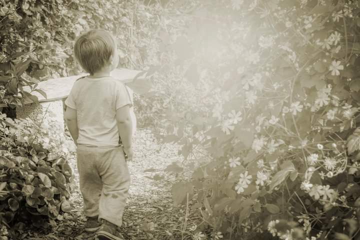 A boy in The garden