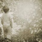 A boy in The garden