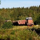 A branchline in the "Småländska höglande"...