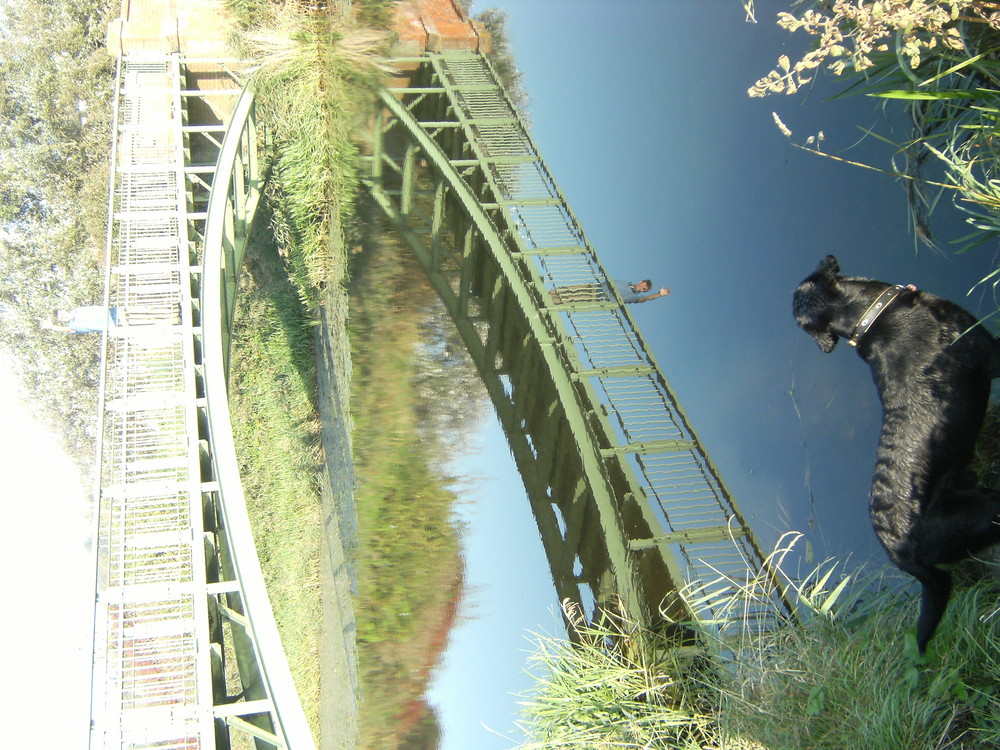 A Bridge and It's Reflection