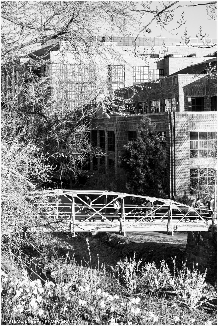 A Bridge on the C & O Canal - A Georgetown Early Springtime Impression