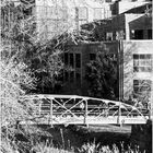 A Bridge on the C & O Canal - A Georgetown Early Springtime Impression