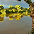 ** A brief Sunburst on the Murray River ** 