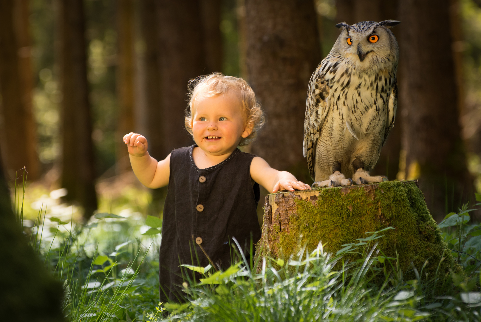 a Bub mit dem UHU ( Euroasische Adlereule )