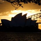 A burning sun sets over Sydney Opera House