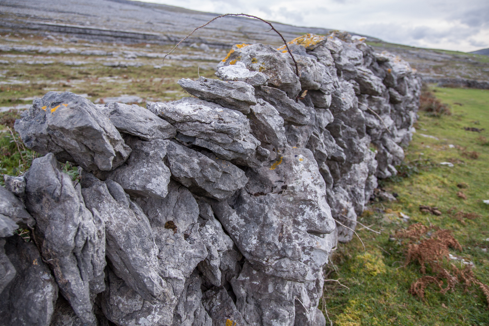 a Burren wall