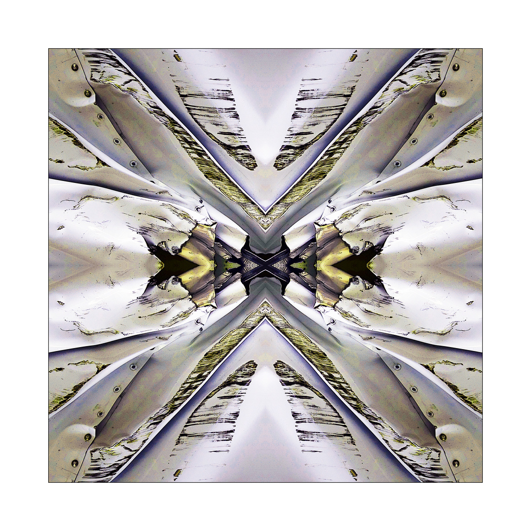 A C C I D E N T Foto & Bild projekte, bearbeitungs techniken, 2 dienstag ist spiegeltag A C C I D E N T Foto & Bild projekte, bearbeitungs techniken, 2 dienstag ist spiegeltag