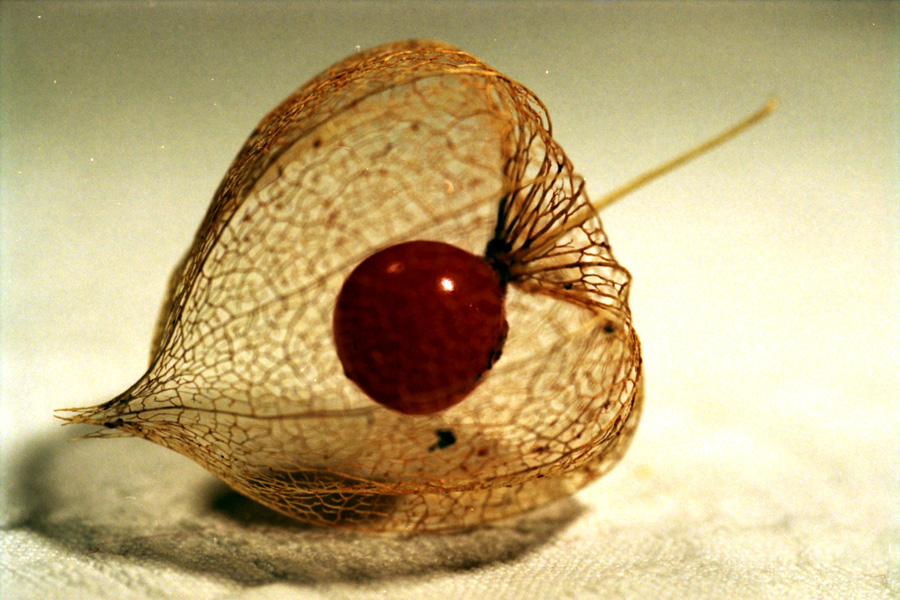 A Caged Fruit