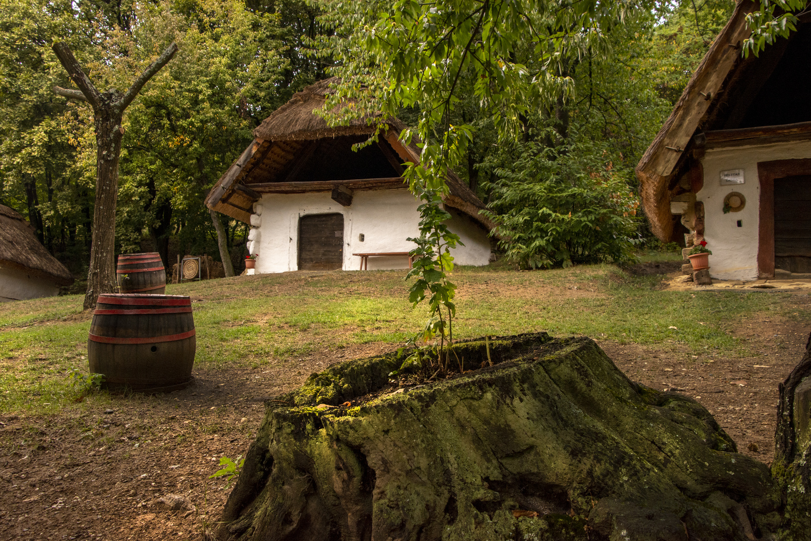 A cáki pincék/Keller in Cák (Ungarn)