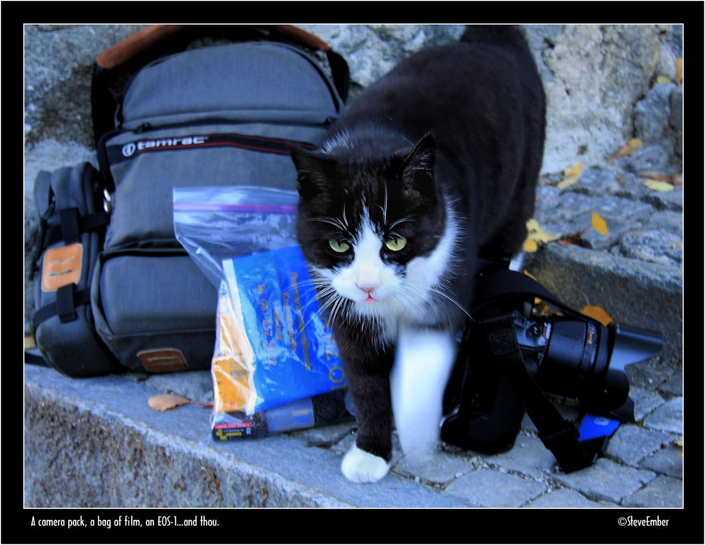 A camera pack, a bag of film, an EOS-1...and thou