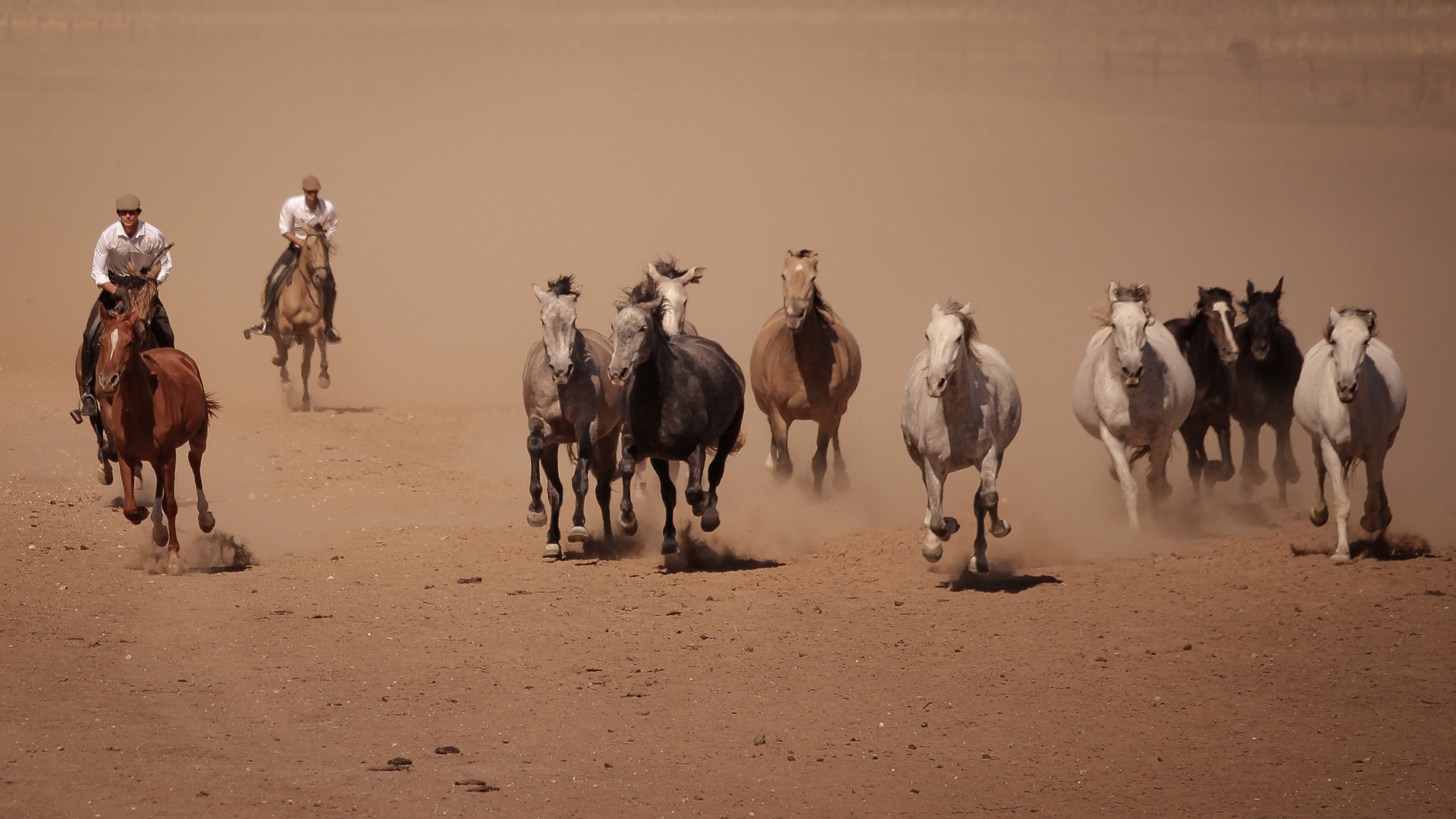 A Campo Abierto