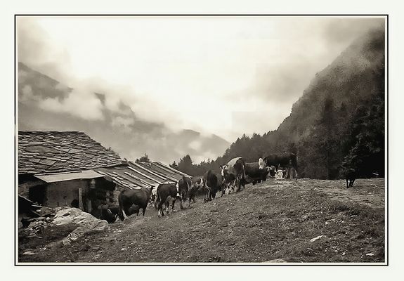A CASA DEL MARGARO 1