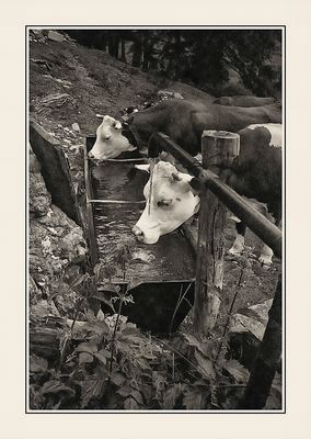 A CASA DEL MARGARO 8