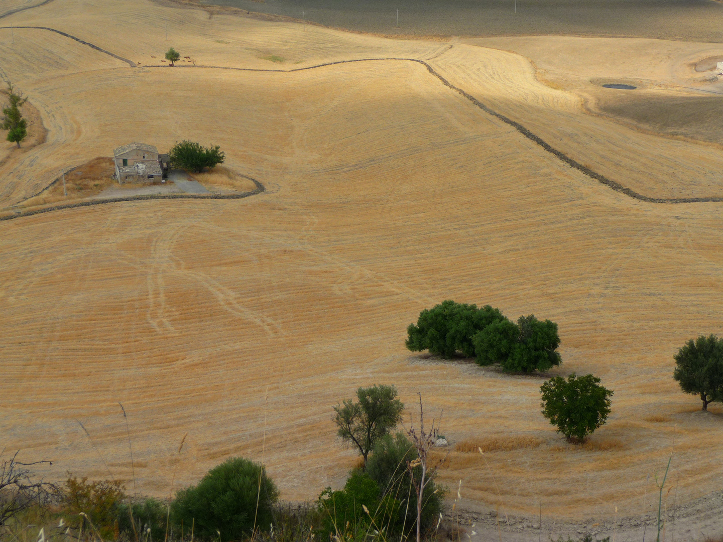 a casa di minicu