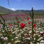 A Castelluccio di Norcia