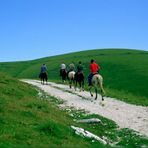 A cavallo in libertà