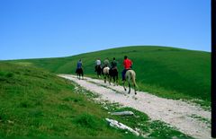 A cavallo in libertà