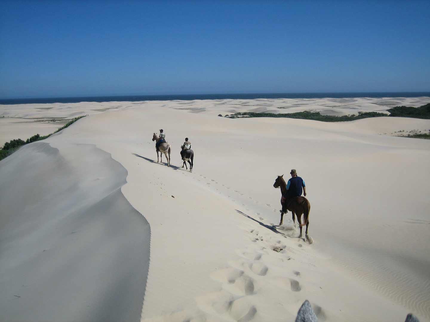 A CAVALLO IN SUDAFRICA