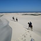 A CAVALLO IN SUDAFRICA