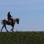 A Cavallo sull'Argine