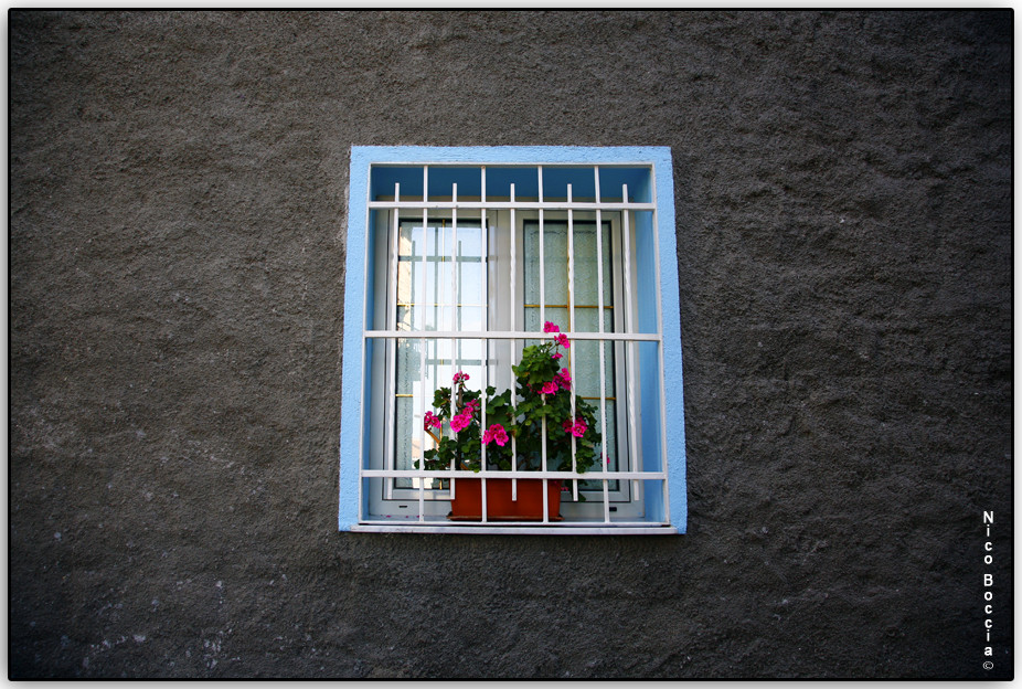 a centro cè sempre un fiore