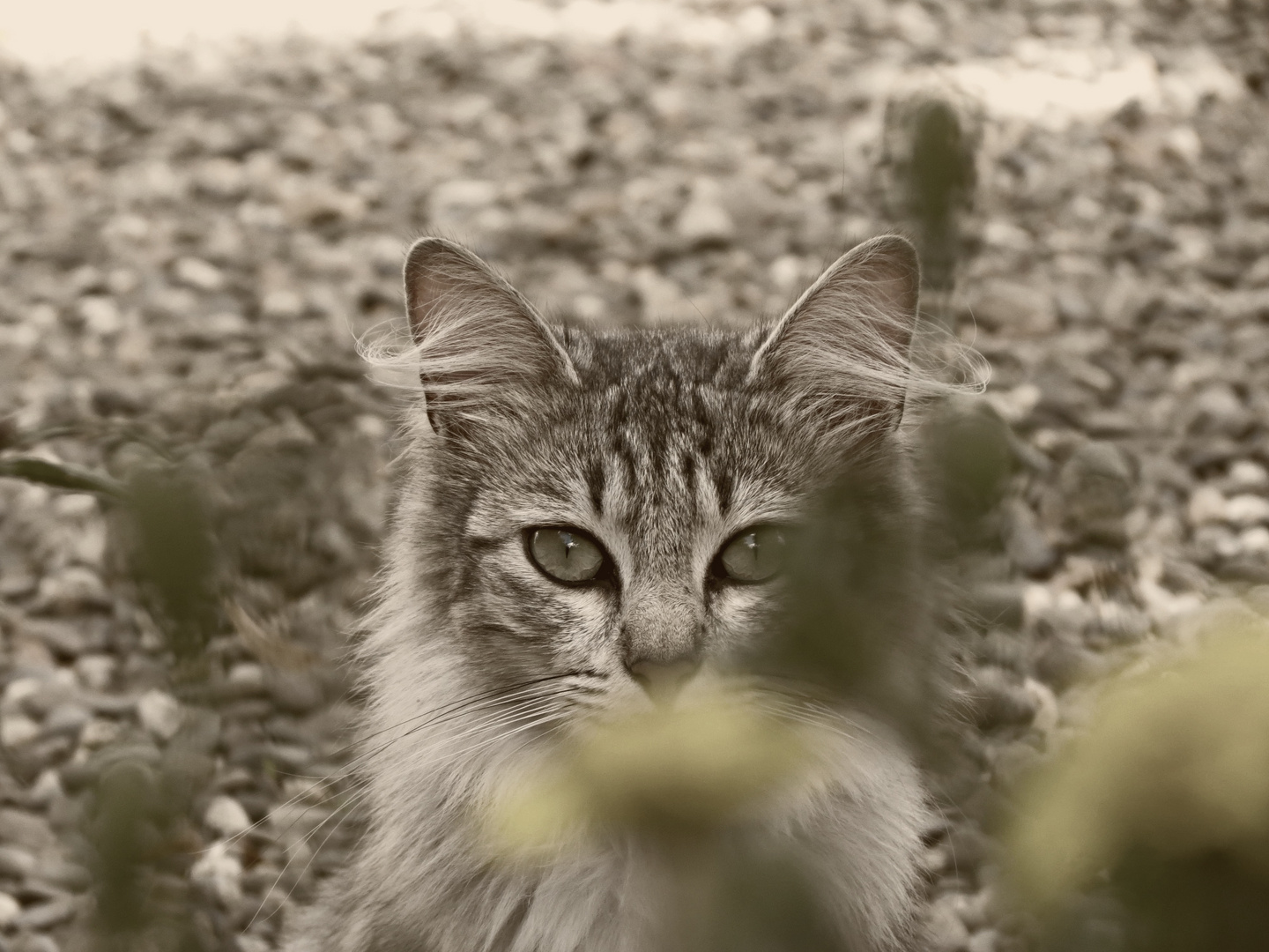 a chacun son chat.