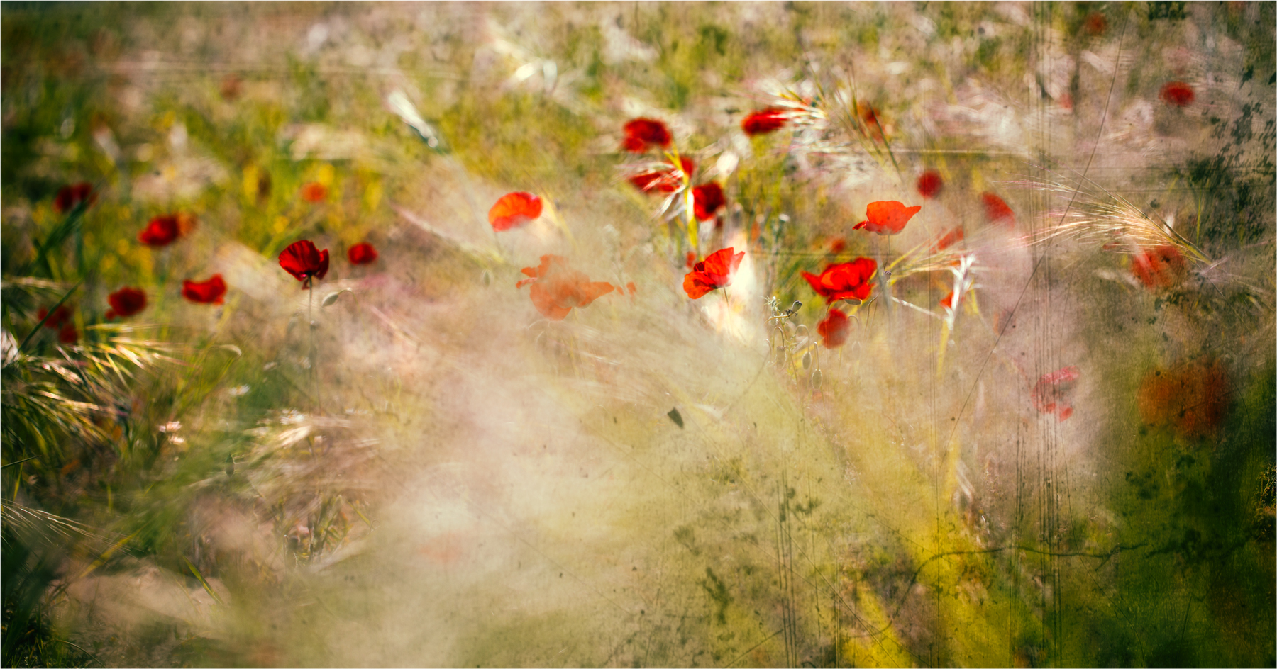 A chain of flowers 