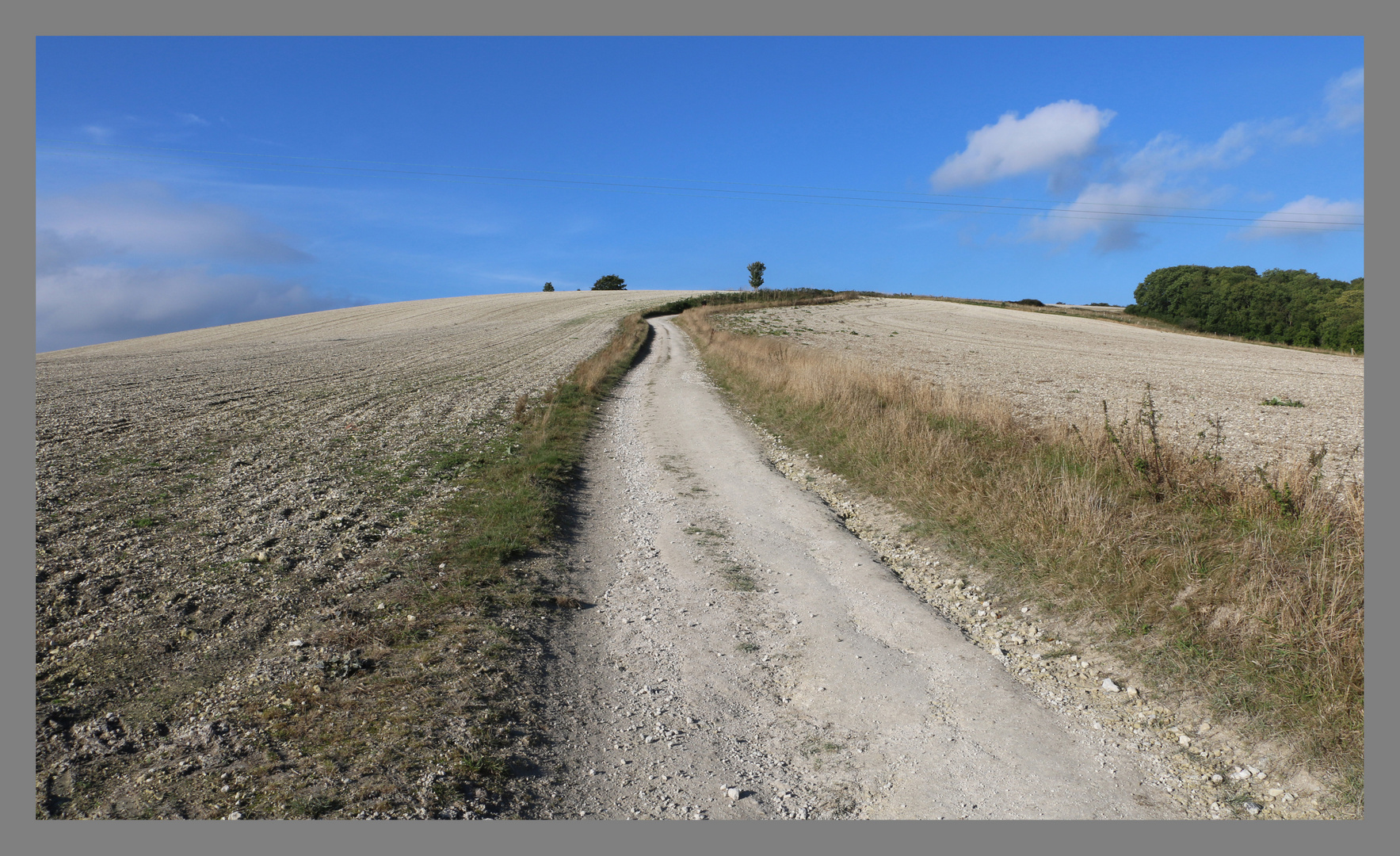 a chalky track from shroton up to hambledon hill 10A