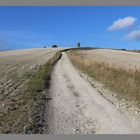 a chalky track from shroton up to hambledon hill 10A