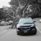 A Chevrolet and the Ghost Tree at the 17-Mile Drive