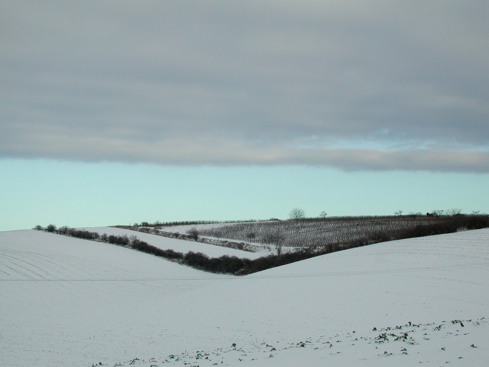 A CHRISTMAS LANDSCAPE