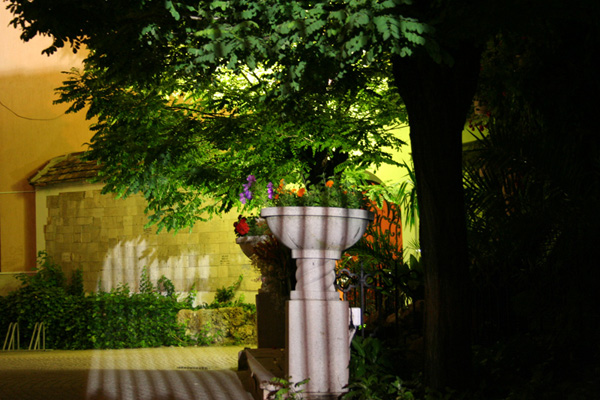 A church's garden at night