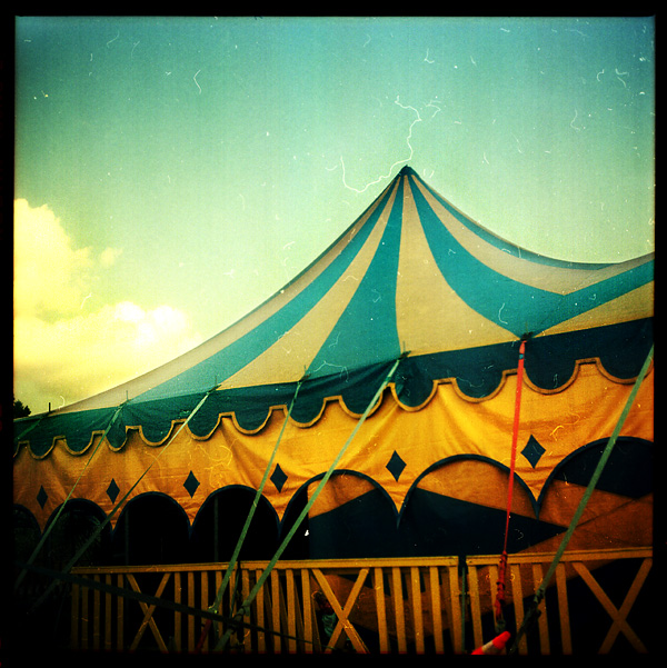 .a circus life.